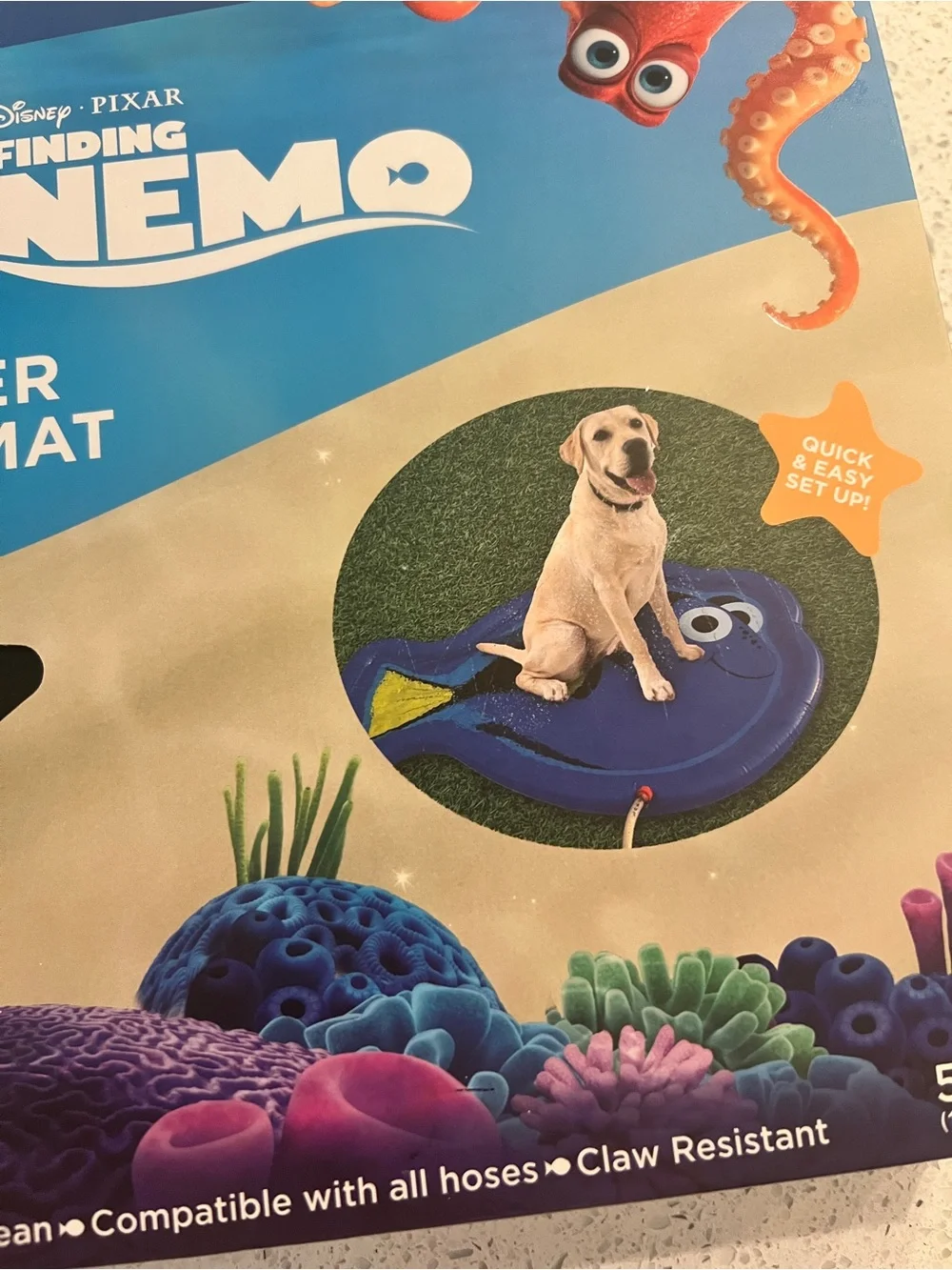 Disney Finding Nemo Blue & Orange Pet Sprinkler Splash Mat